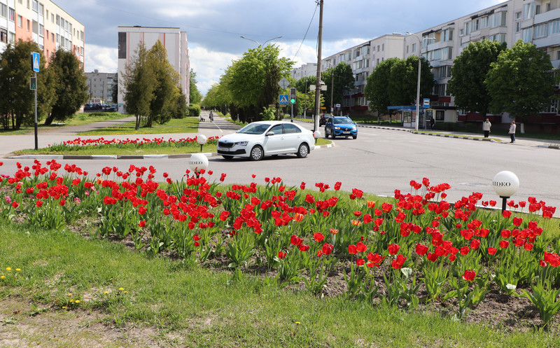 Прогноз погоды в жлобине на 14