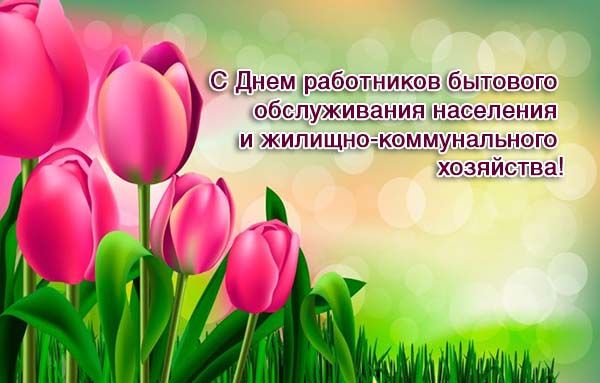 Поздравление генерального директора УК «ЖКХ» Дмитрия Пыхтенкова с Днем работника ЖКХ